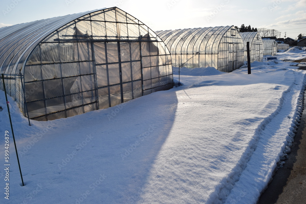 豪雪地方のビニールハウス 豪雪地方のビニールハウス