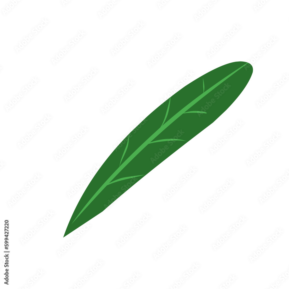Flat Green Leaf Flat Green Leaf