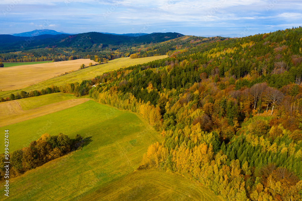 View from drone of undulating forest landscape in sunny autumn day..