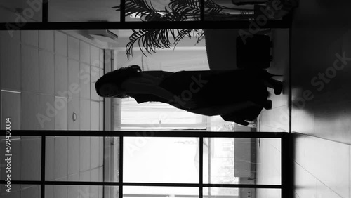 Silhouette of a beautiful girl in a long dress moves beautifully in panoramic doors. Elegant seductive movements. Vertical video. Black and white
