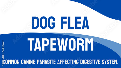 Dog Flea Tapeworm - Parasitic infection transmitted by fleas from dogs to humans.