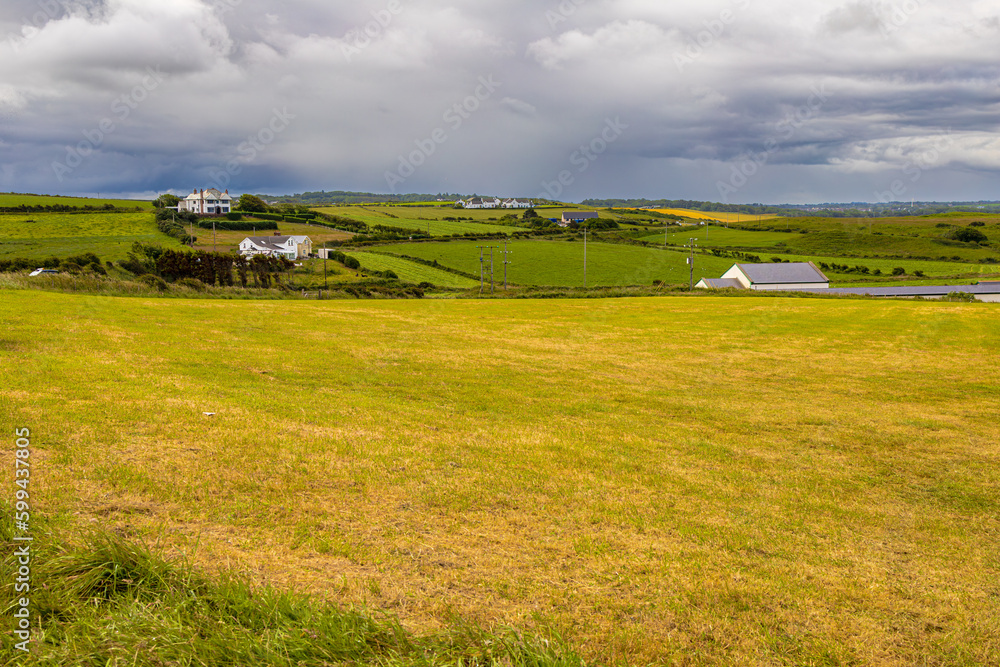 Naklejka premium landscape with field and house