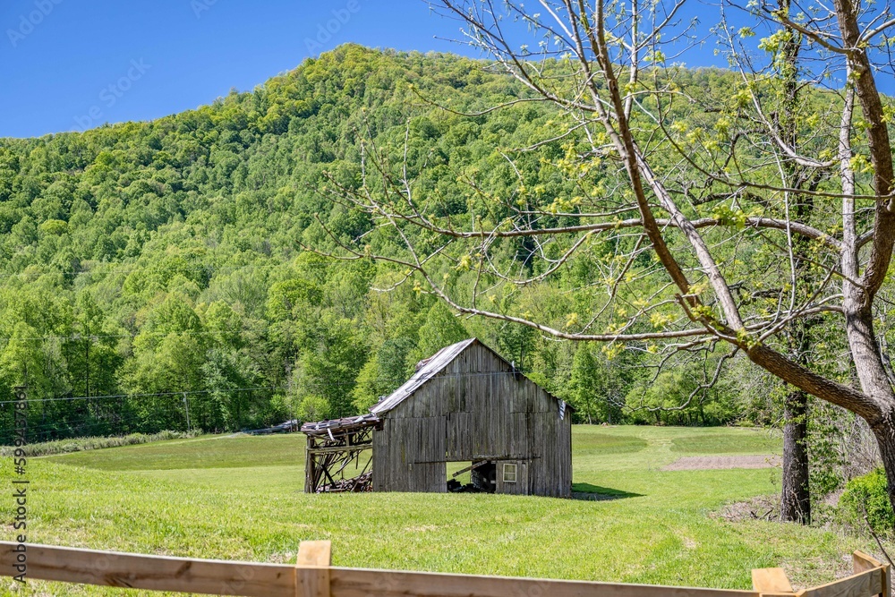 barn barn