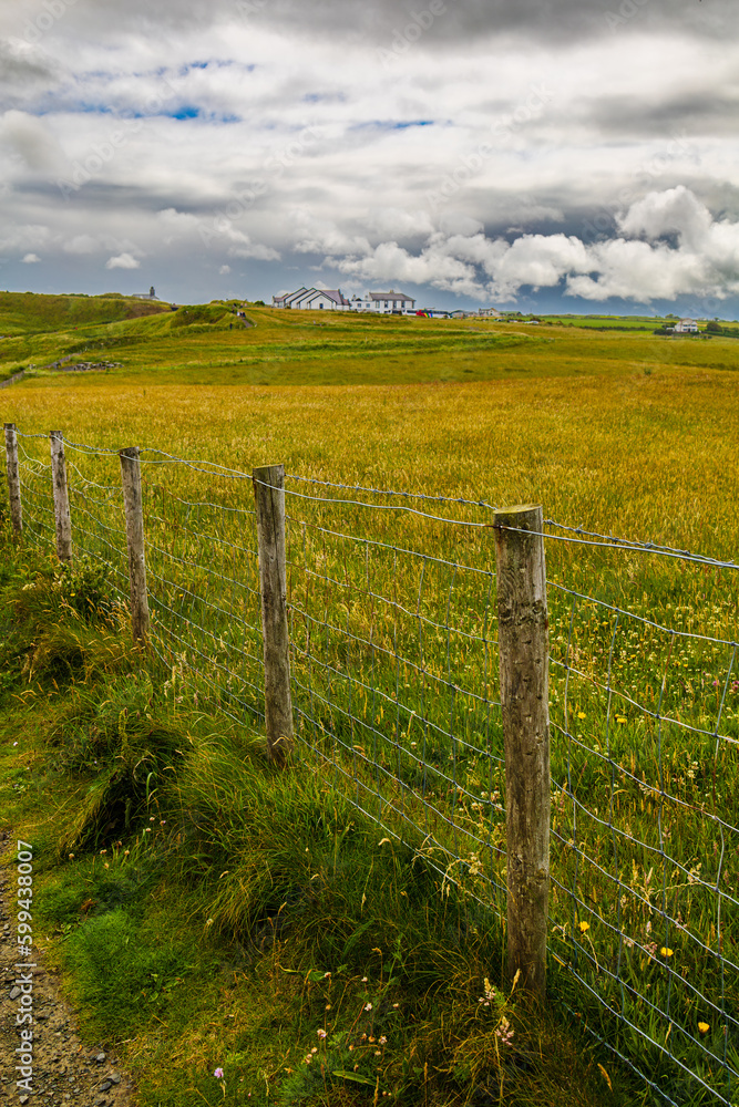 Fototapeta premium fence in the field