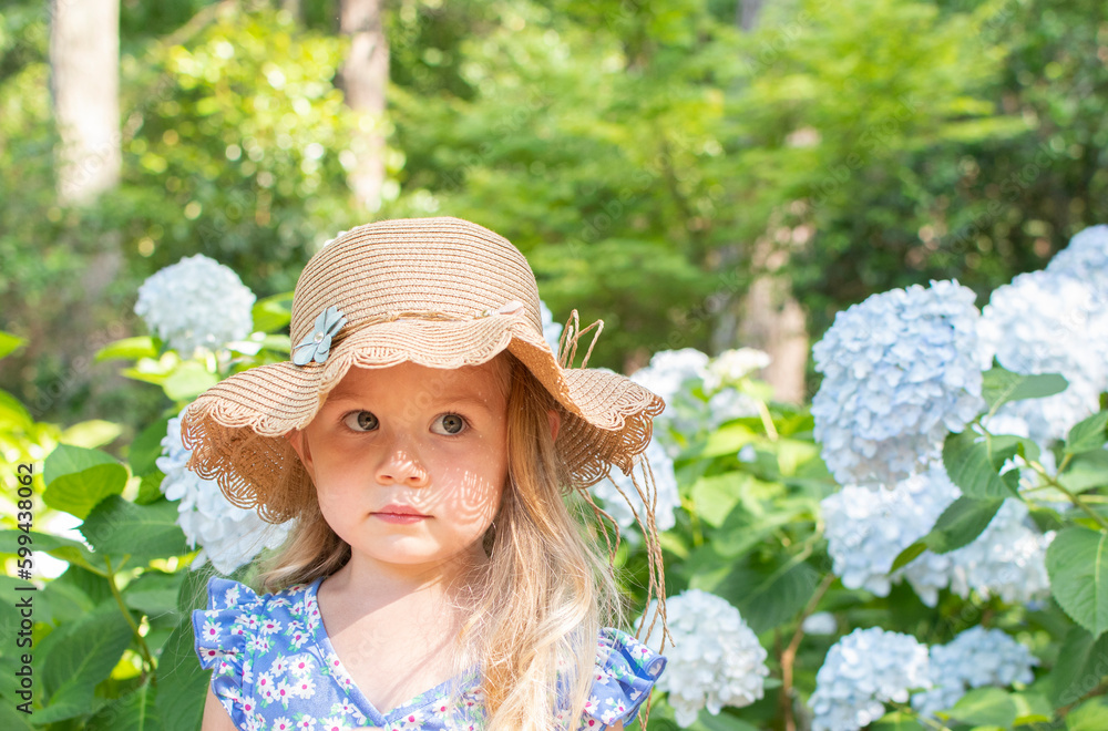 Cute Caucasian smiling little girl in a straw hat standing near the blooming bush of blue hydrangea