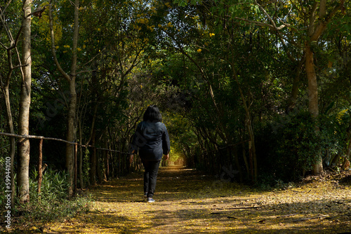 Walk to the end of the tree tunnel Compare with the expression There's a light at the end of the tunnel, which has the meaning of encouraging that every problem has a solution.