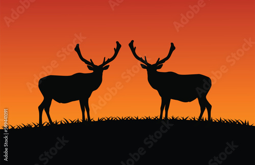 deer silhouette in sunset