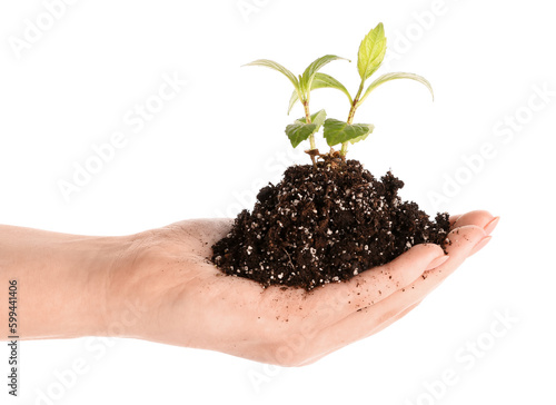 Woman holding heap of soil ...