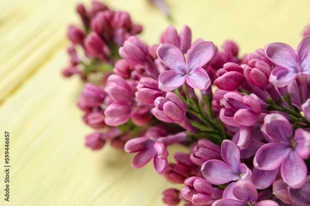 Obraz premium Blooming lilac flowers on beige wooden background