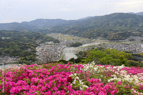 ツツジと大洲市の景色