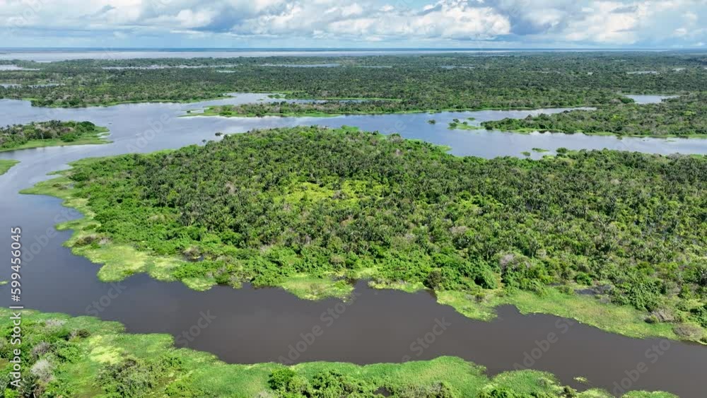 Amazonian Forest At Manaus Amazonas Brazil. Riverside Rivers. Tropical Forest River Biome Beautiful. Tropical Forest Jungle Biome Lagoon Travel. Tropical Forest Beautiful Day National Park. Amazonian Forest At Manaus Amazonas Brazil. Riverside Rivers. Tropical Forest River Biome Beautiful. Tropical Forest Jungle Biome Lagoon Travel. Tropical Forest Beautiful Day National Park.