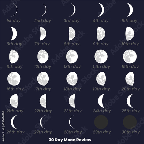 A chart of the moon review with the date of the month. 30 Day Moon Set, Moon Review. 30 Day Moon Review. Moon phases astronomy icons set, vector illustration. Isolated outline symbol.