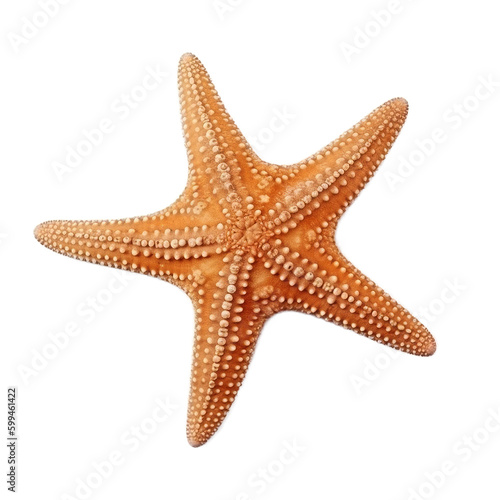 red starfish isolated on transparent background, Generative AI
