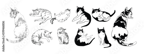 Set of cut cat character icon hand drawing vector illustration. Isolated on white background.