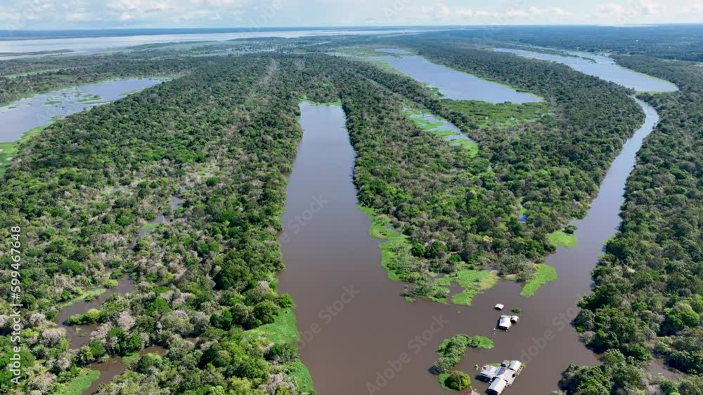 Amazon Rainforest At Manaus Amazonas Brazil. Forest Landscape Green ...