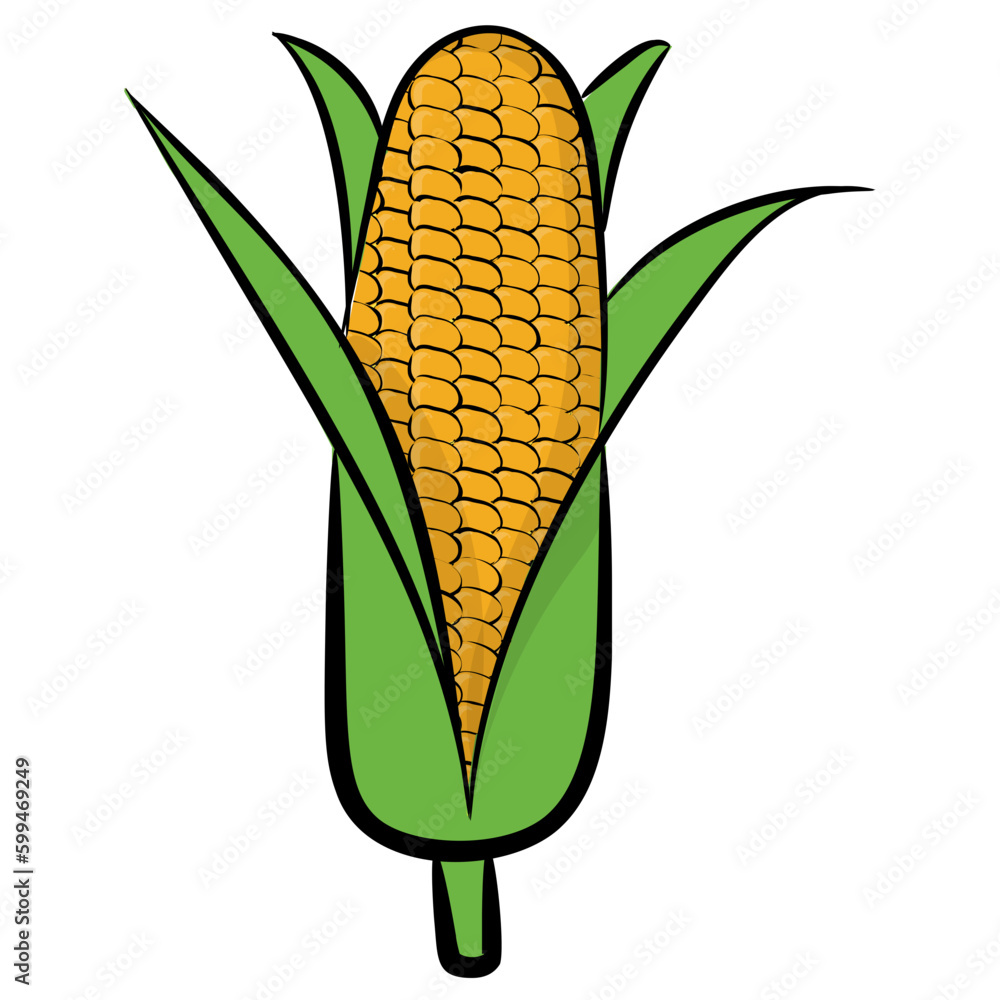 Diet food, corn cob icon Diet food, corn cob icon