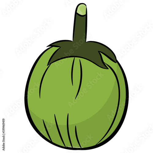 Hand drawn icon of ash gourd 