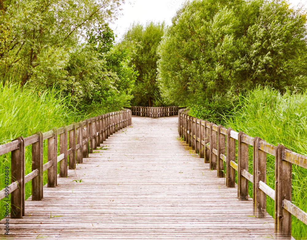 Straight wood road in a park with a green meadow, one left, one right. 