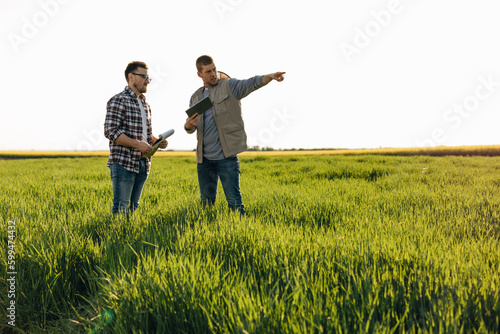 Two farmers are controlling grows of grain field