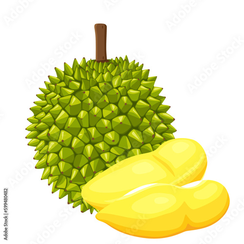 durian isolated on white background