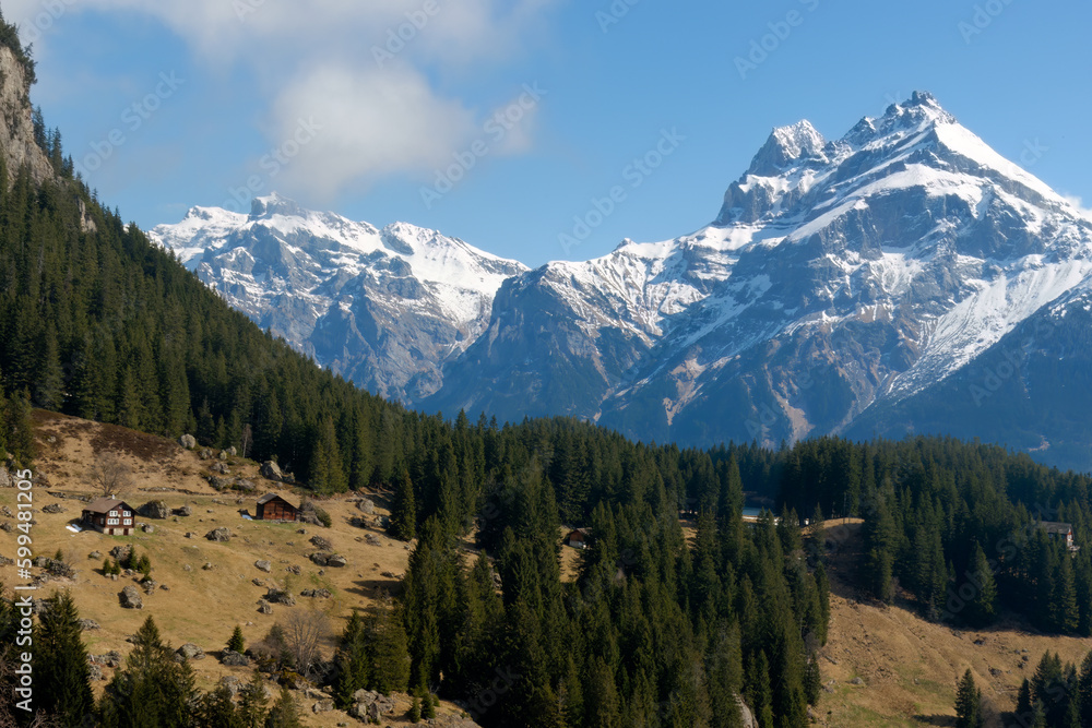 Picturesque mountain view in the Swiss Alps, spring. Blue sky, high mountains covered with snow caps, and green forest. Picturesque mountain view in the Swiss Alps, spring. Blue sky, high mountains covered with snow caps, and green forest.