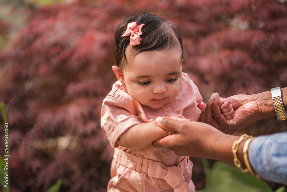 Cute African American six-month old baby girl held upright by mother; dark red bushes in background Cute African American six-month old baby girl held upright by mother; dark red bushes in background