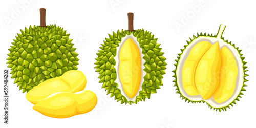 durian isolated on white background
