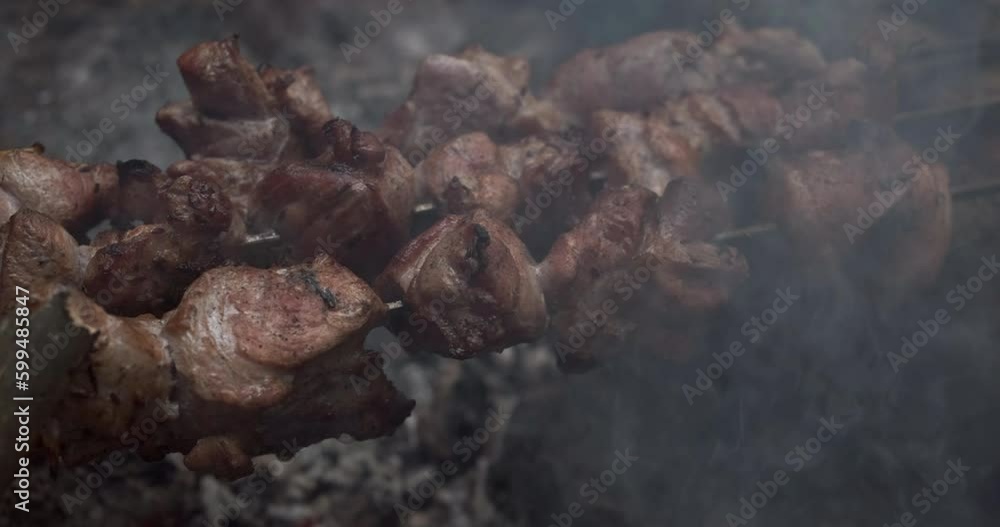 closeup focus on juicy barbecue cooking in bonfire closeup focus on juicy barbecue cooking in bonfire
