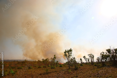 Afrikanischer Busch - Krügerpark - Buschfeuer / African Bush - Kruger Park - Bushfire /