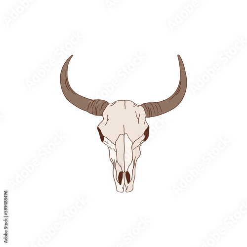 Cow bull scull. Western design, wild west element. Vector illustration isolated on white.