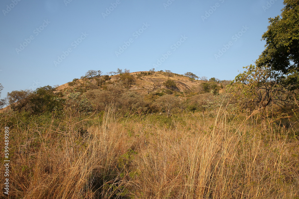 Afrikanischer Busch - Krügerpark - Mount Shabeni / African Bush - Kruger Park - Mount Shabeni /