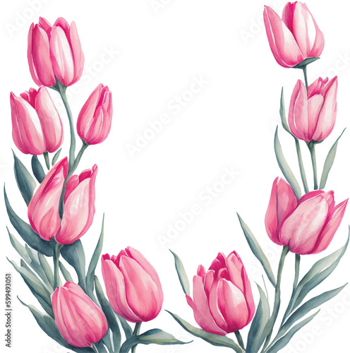 watercolor illustration of spring pink tulips frame isolated