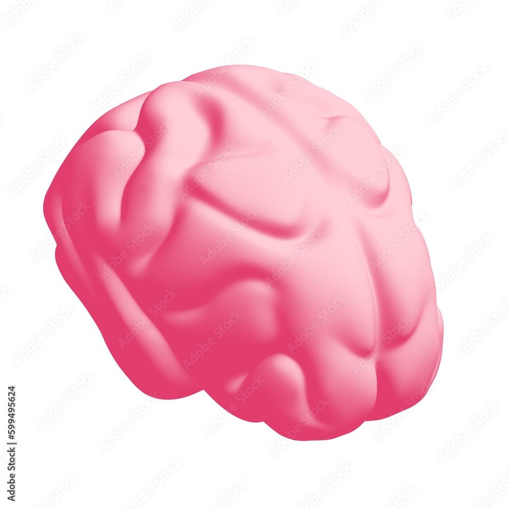 Human brain Anatomical Model. Human brain Anatomical Model.