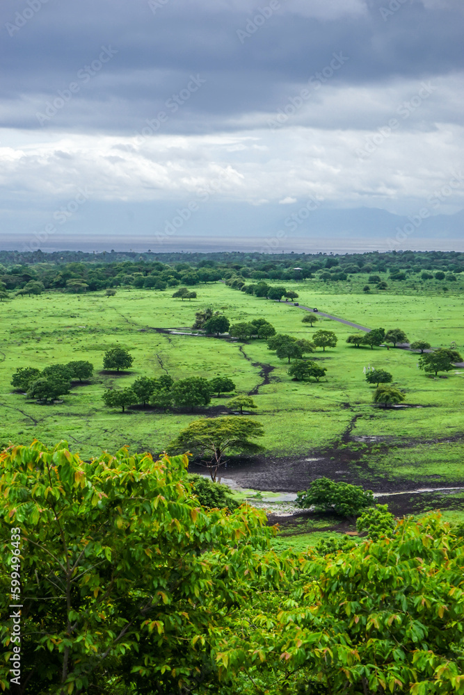 Obraz premium Stunning scenery around Baluran National Park, Situbondo, Indonesia