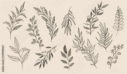Floral branch. Hand drawn wedding herb, plant and monogram with elegant leaves for invitation save the date card design. Botanical rustic trendy greenery vector