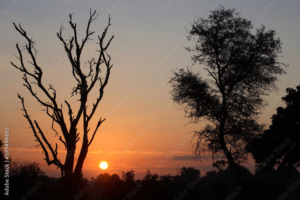 Sonnenaufgang - Krüger Park - Südafrika / Sunrise - Kruger Park - South Africa /