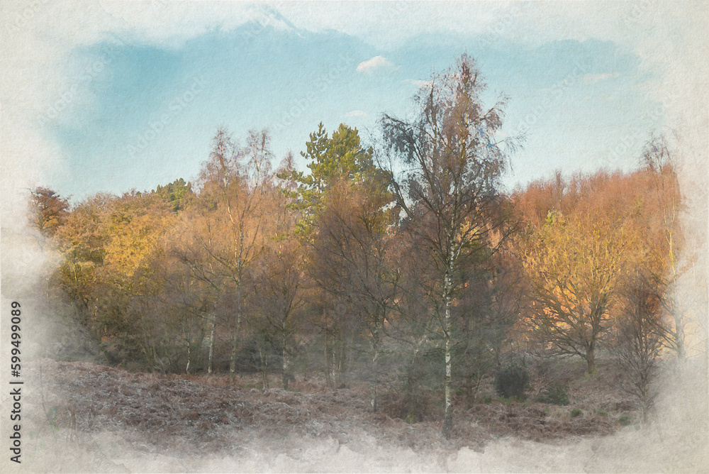 Digital watercolour painting of Cannock Chase, AONB in Staffordshire.