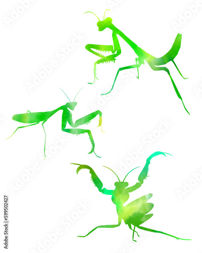 カマキリ