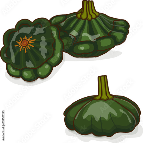 Group of Green Patty Pan squash or Scallop or Scallopini squash. Summer squash. Cucurbita pepo. Fruits and vegetables. Cartoon style. Vector illustration isolated on white background.