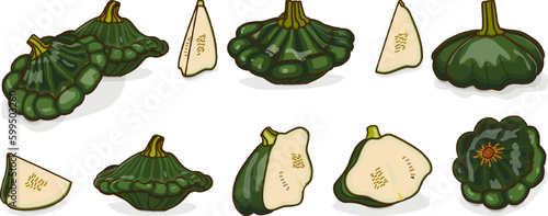 Set of Green Patty Pan squash or Scallop or Scallopini squash. Summer squash. Cucurbita pepo. Fruits and vegetables. Cartoon style. Vector illustration isolated on white background.