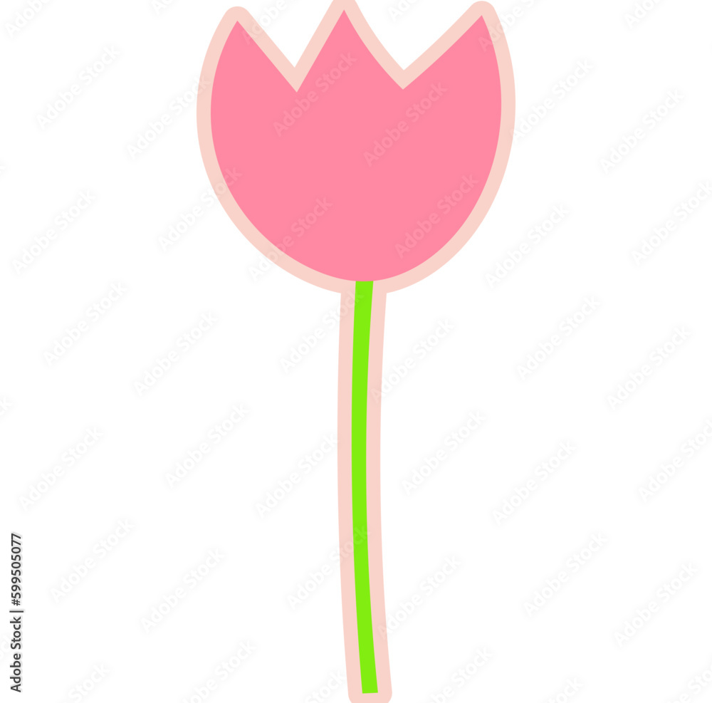 예쁜 튤립 예쁜 튤립