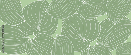 Vector tropical green background with leaves. Background for decor, covers, wallpapers, postcards and presentations