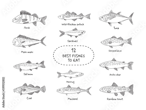 Hand drawn fish icon set in sketch style. Simple vector isolated illustration on white background