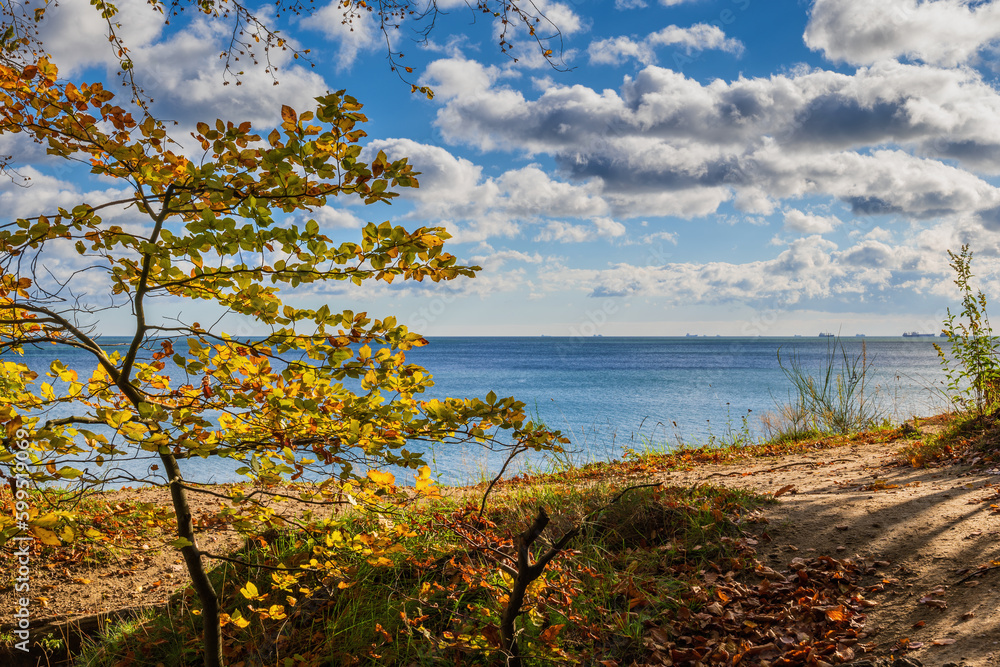 Baltic Sea Coast On Sunny Day In Autumn