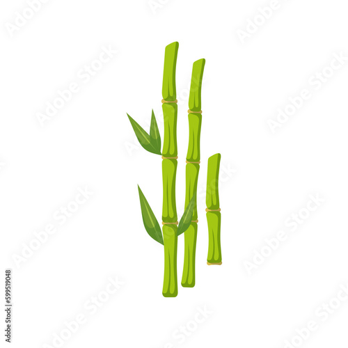 Vector bamboo sticks with leaves. Cartoon illustration isolated on white background.