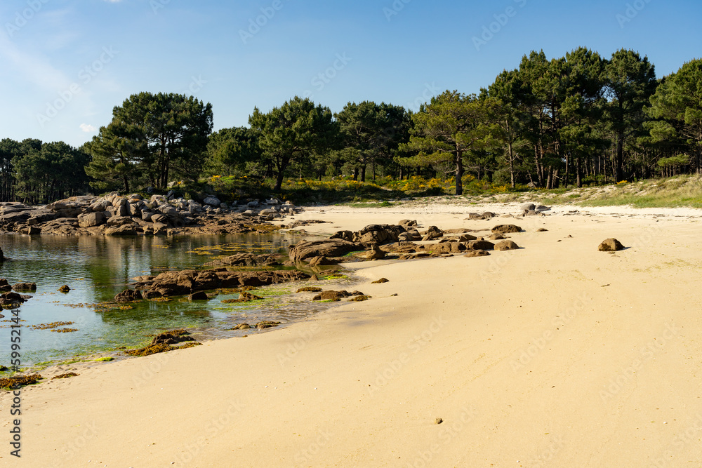 Fototapeta premium Beach at sunset in the Carreirón Natural Park into the Arousa island with the pine forest