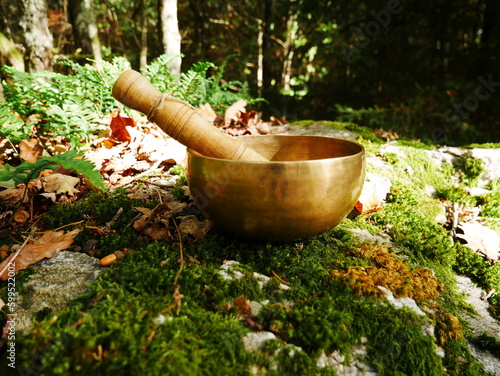 Singing bowl on a rock with moss and some dead leaves