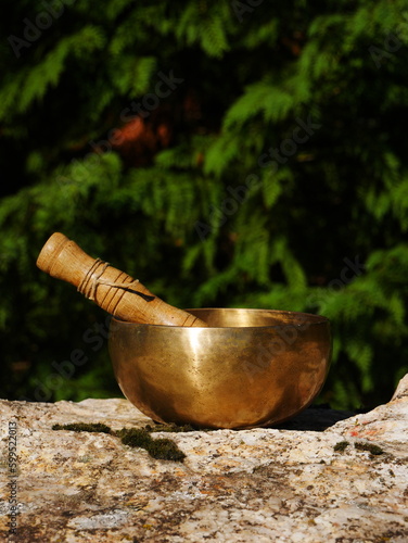 Singing bowl on a rock with fir leaves in the background