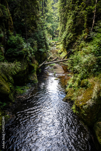Kirnitsch im Nationalpark Sächsische Schweiz, Sachsen, Deutschland