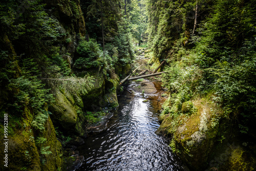 Kirnitsch im Nationalpark Sächsische Schweiz, Sachsen, Deutschland